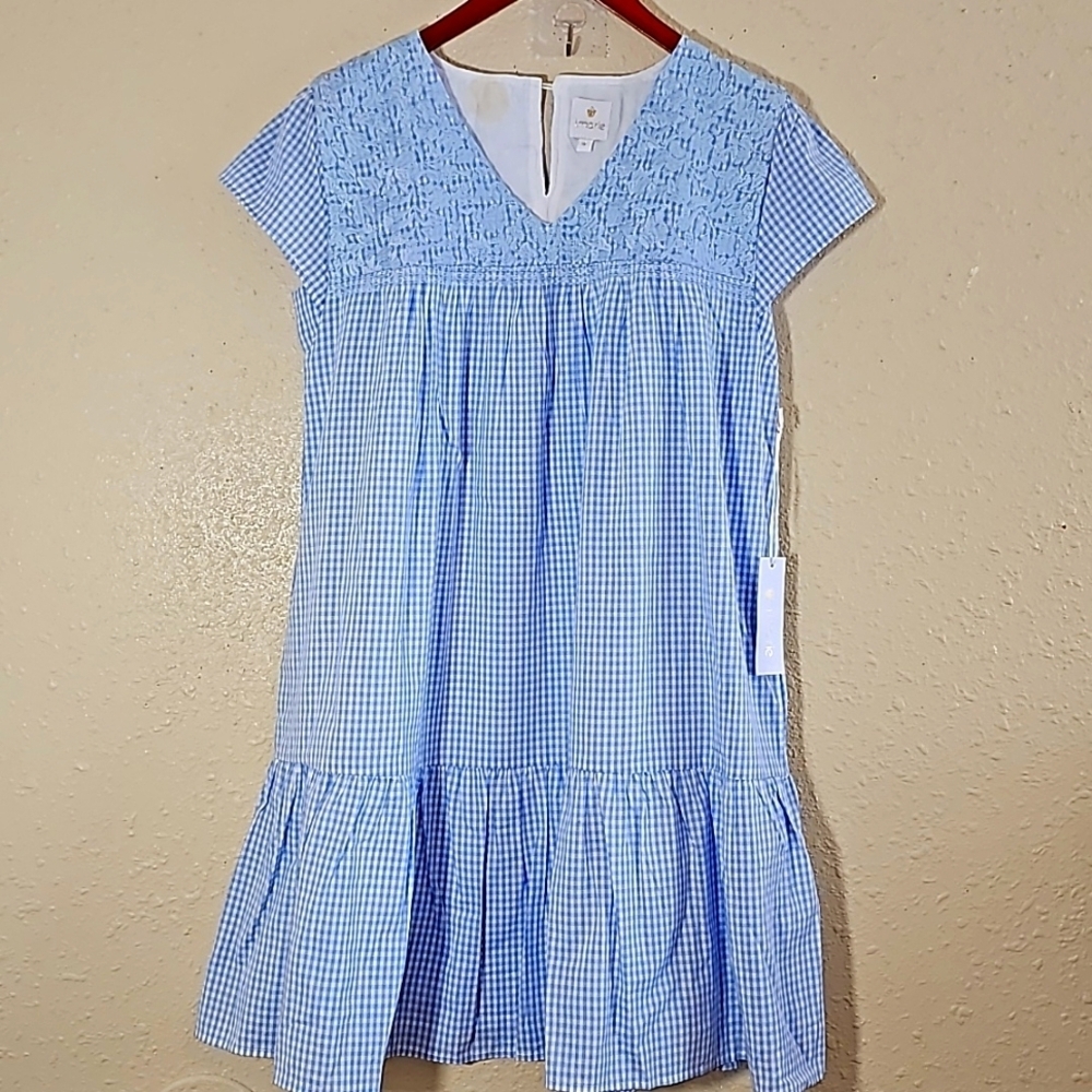 J Marie Blue Plaid Embroidered Mini Dress